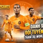 Ảnh đại diện danh sách đội tuyển Hà Lan tham dự World Cup 2026 với các ngôi sao Virgil van Dijk, Cody Gakpo và Frenkie de Jong, cập nhật bởi Thapcamtv.